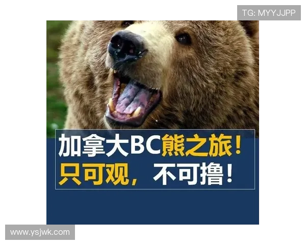 探索BC省企业家移民项目 助力全球创业者实现加拿大梦想